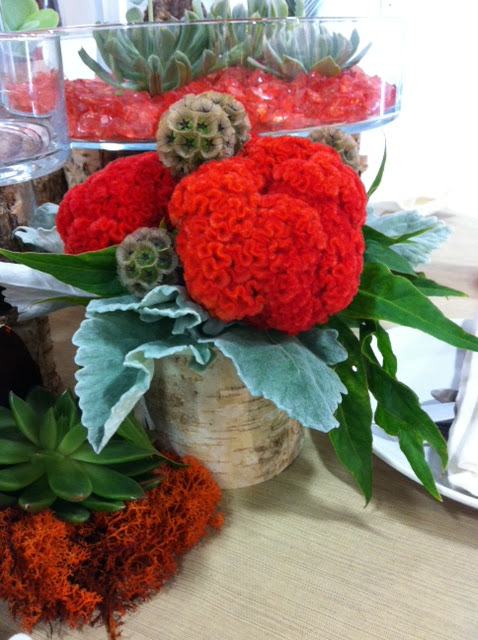 Accent Decor behind the scenes with Mandy floral design