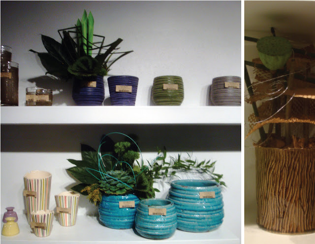 Design in Line feature on Accent Decor