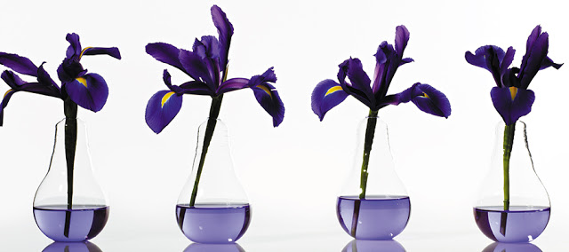 Accent Decor Viola Vase
