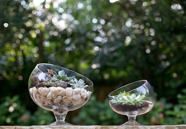 Accent Decor Terrariums with Bias Bowls
