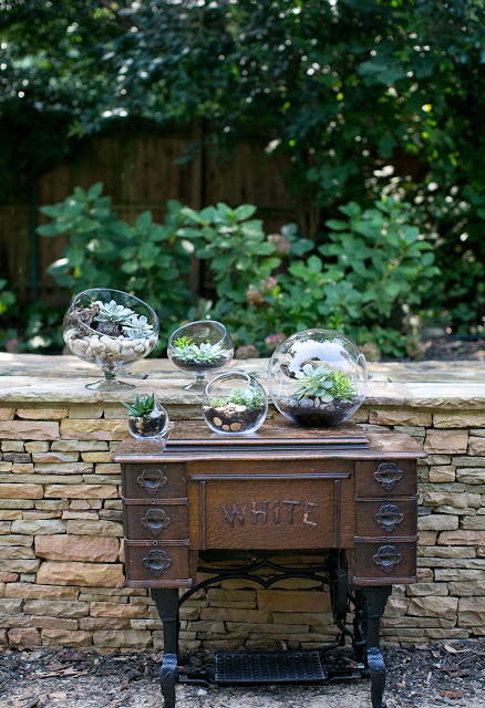 Accent Decor Terrariums with antique sewing table
