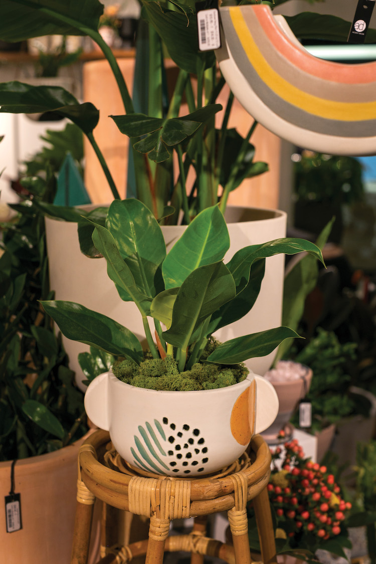 A close up image of an Accent Decor planter within a showroom installation.