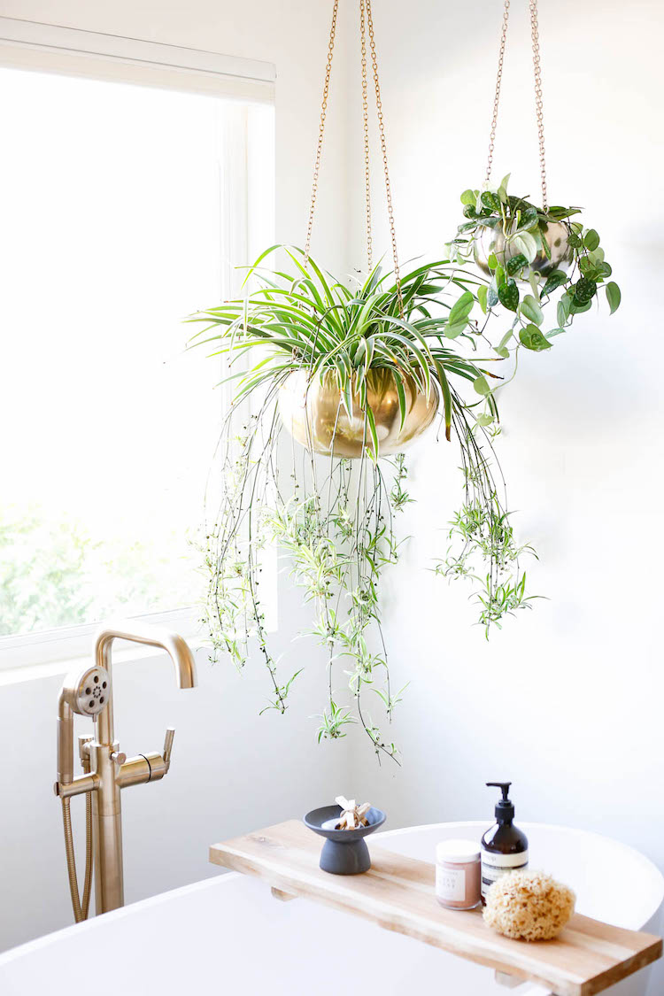 Nurturing Indoor Plants & Their Environment with Danae Horst