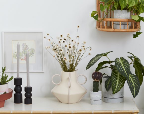 A dresser adorned with a charming display of potted plants in funky pots. The dresser features a sleek and stylish design, serving as a backdrop for the vibrant collection of potted plants.