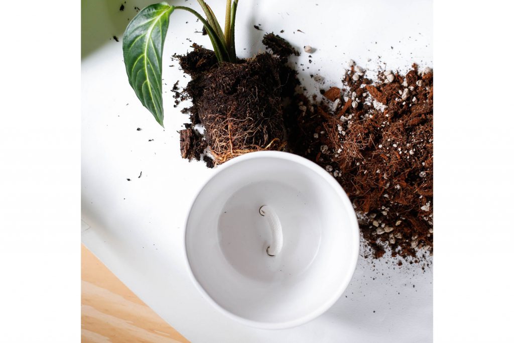 An image of the base of a self-watering pot with dirt next tot it.