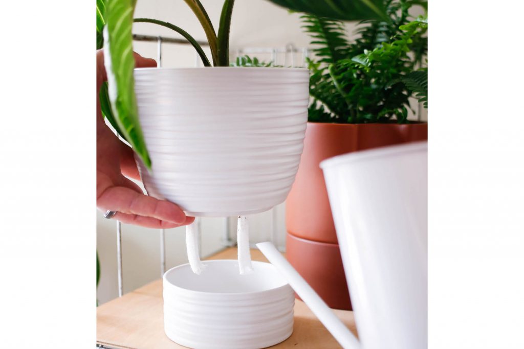 Image of someone adding water into the reservoir of a self-watering pot. 