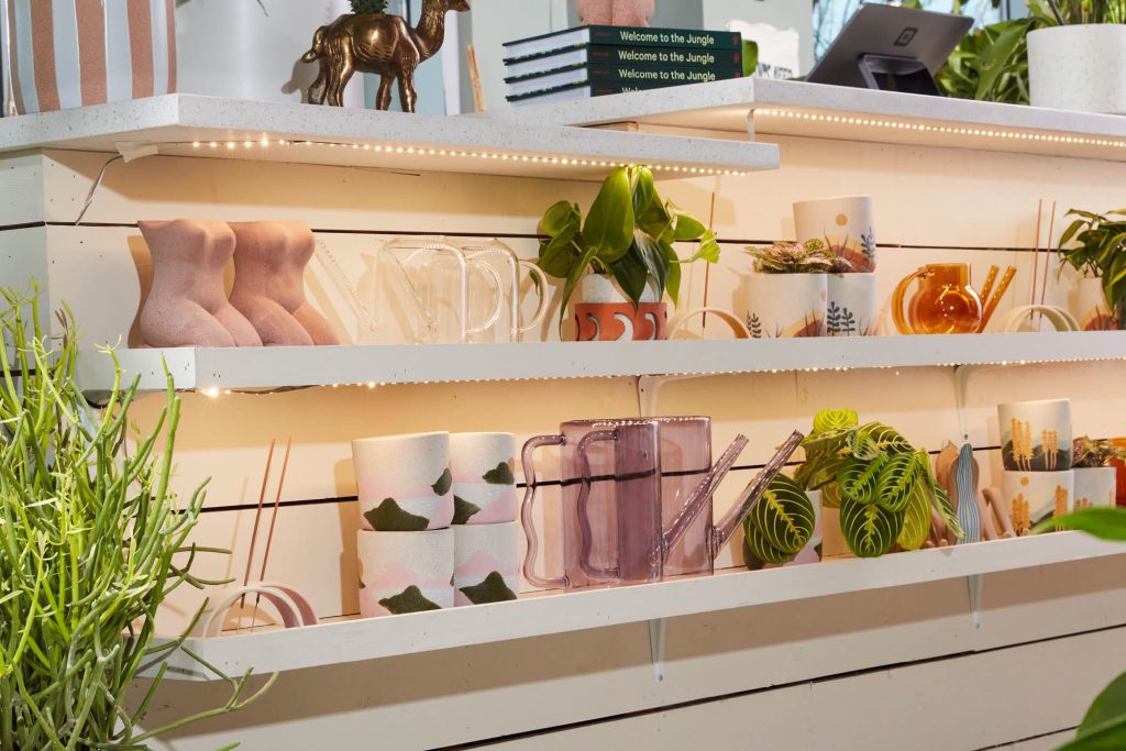 Glass planters showcasing a beautiful arrangement of plants. The transparent glass planters serve as elegant containers for the thriving greenery within.