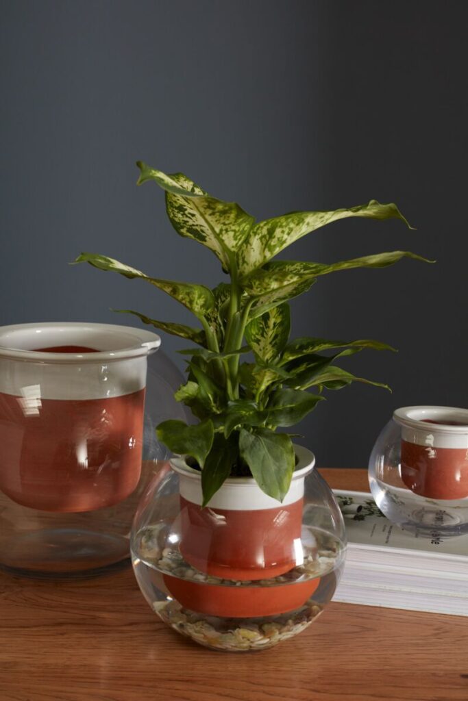 The self-watering Davies Planter from Accent Decor atop a wooden table.