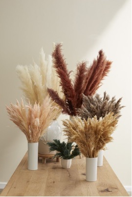 Fluffy Dried Pampas Grass styled in a large grouping atop a table.