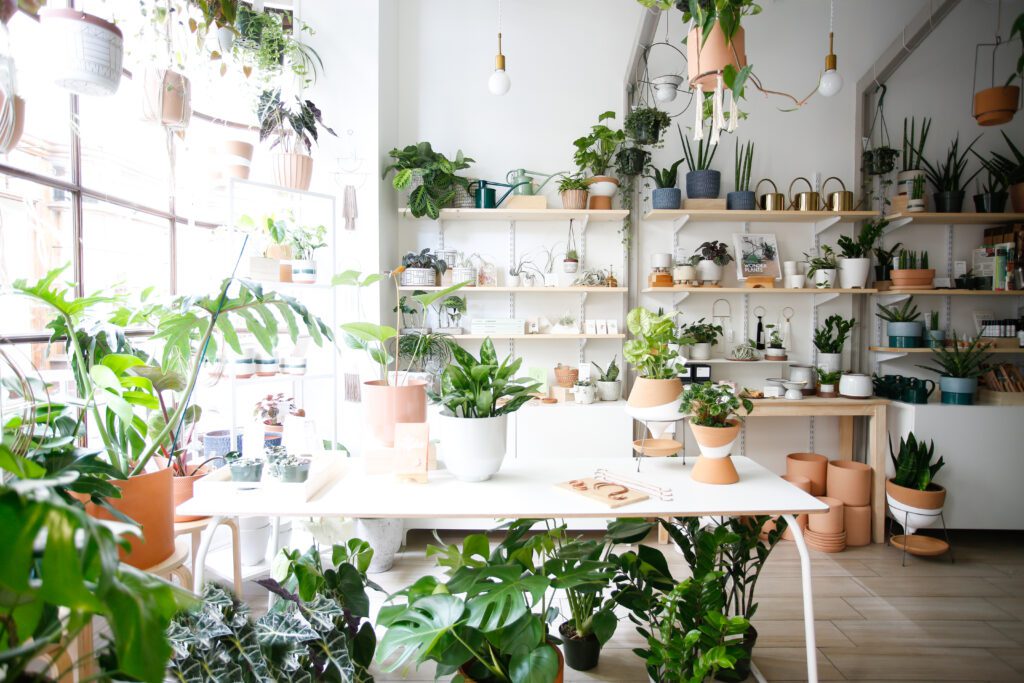 How to Start a Plant Shop with Danae Horst | Accent Decor Blog