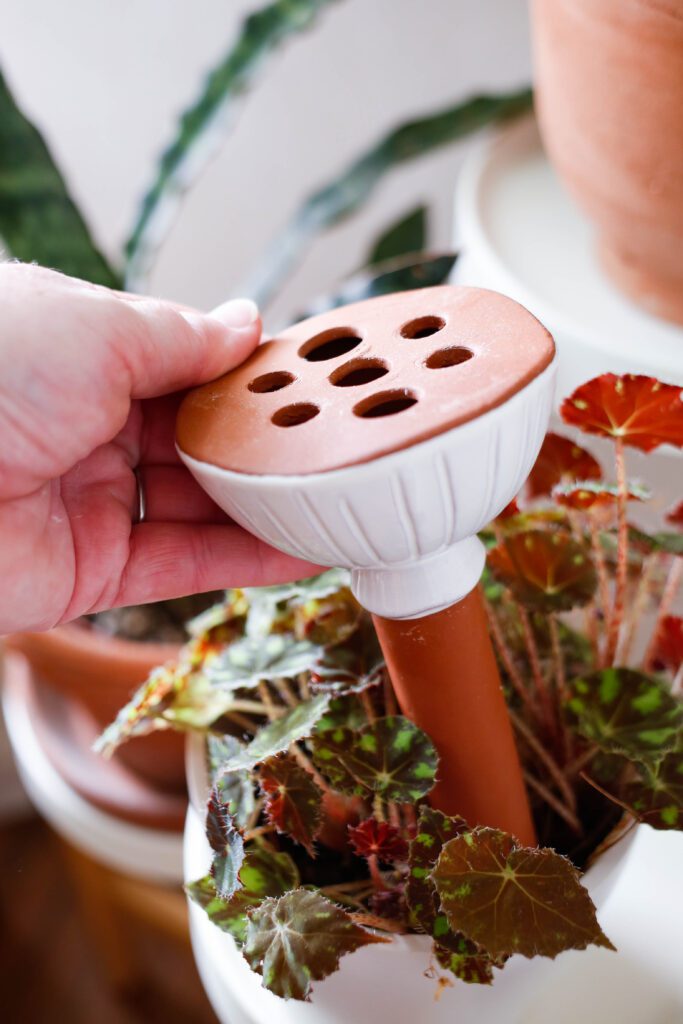 Danae Horst Explains Slow Watering Accessories | Accent Decor Blog