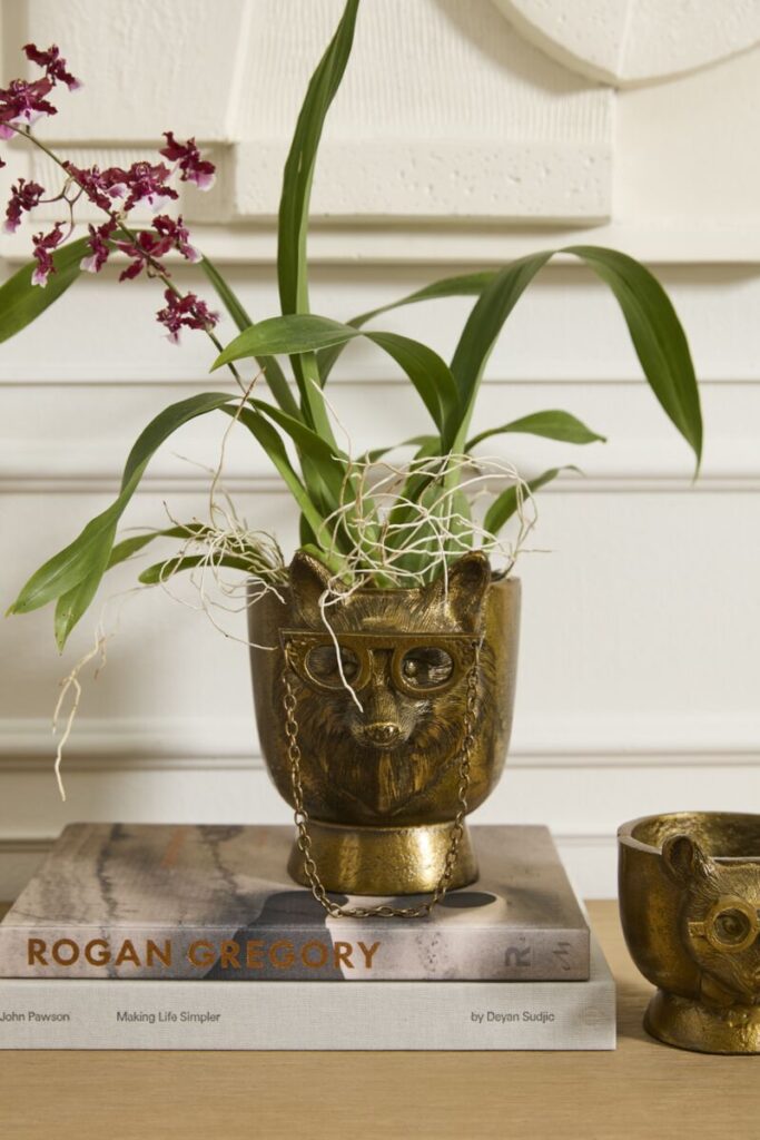 The E+E Eloise Pot by Accent Decor styled with a purple orchid atop a short stack of books.