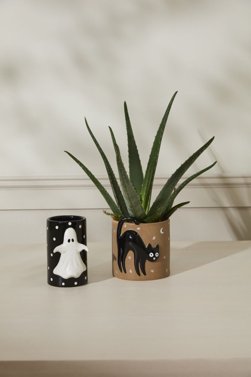 Accent Decor's Witching Hour Collection including a Ghost Vase and Black Cat Pot.