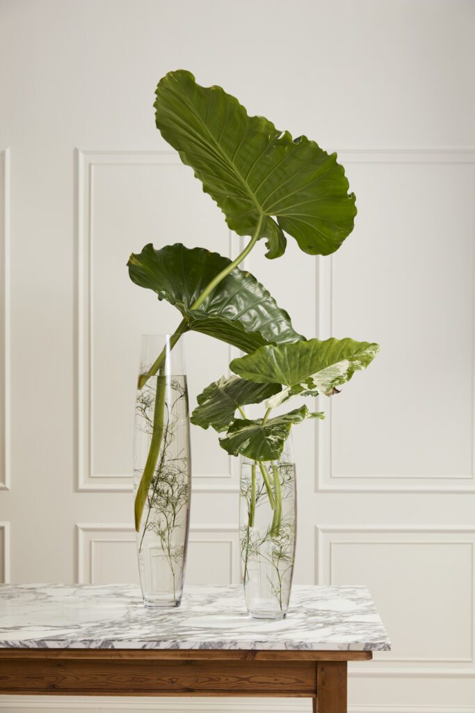 Accent Decor's Boundless Vase, a large glass vase, artfully styled with florals atop a marble table.