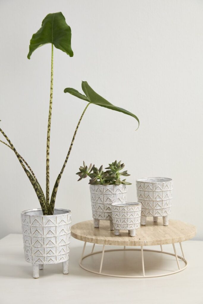 2025 Planter & Pot Trends | Accent Decor Blog