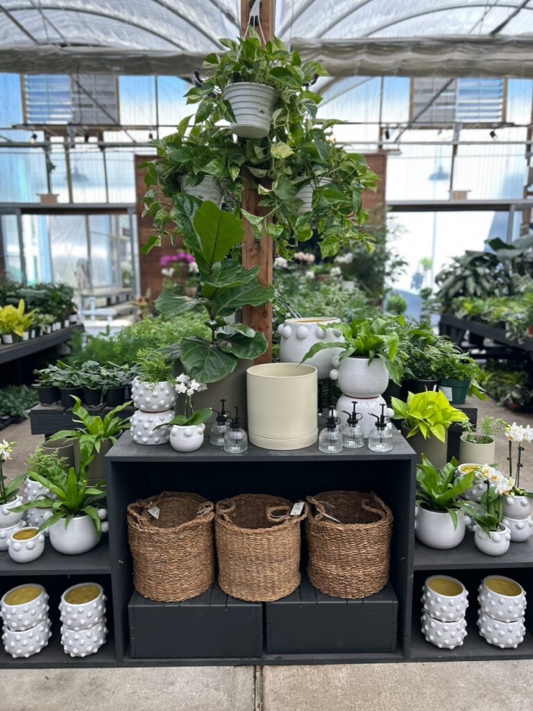 Customer Spotlight on Abide A While | Accent Decor Blog