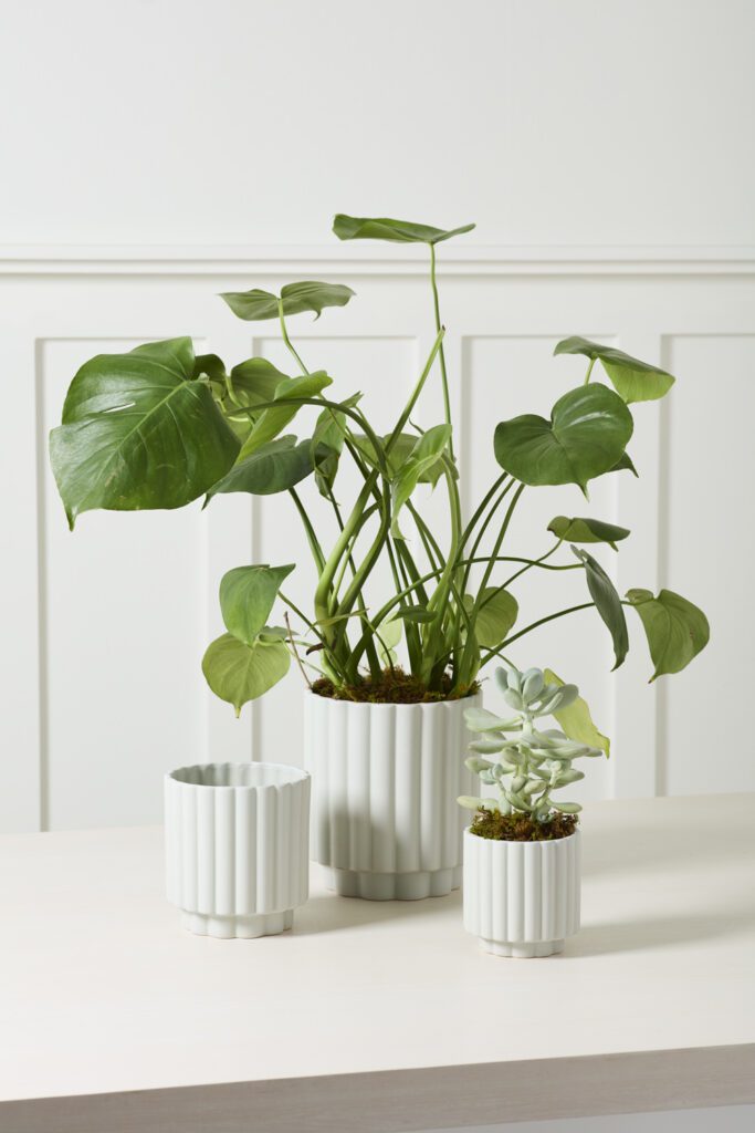 Light Blue Carmen Pots placed on a white tabletop.