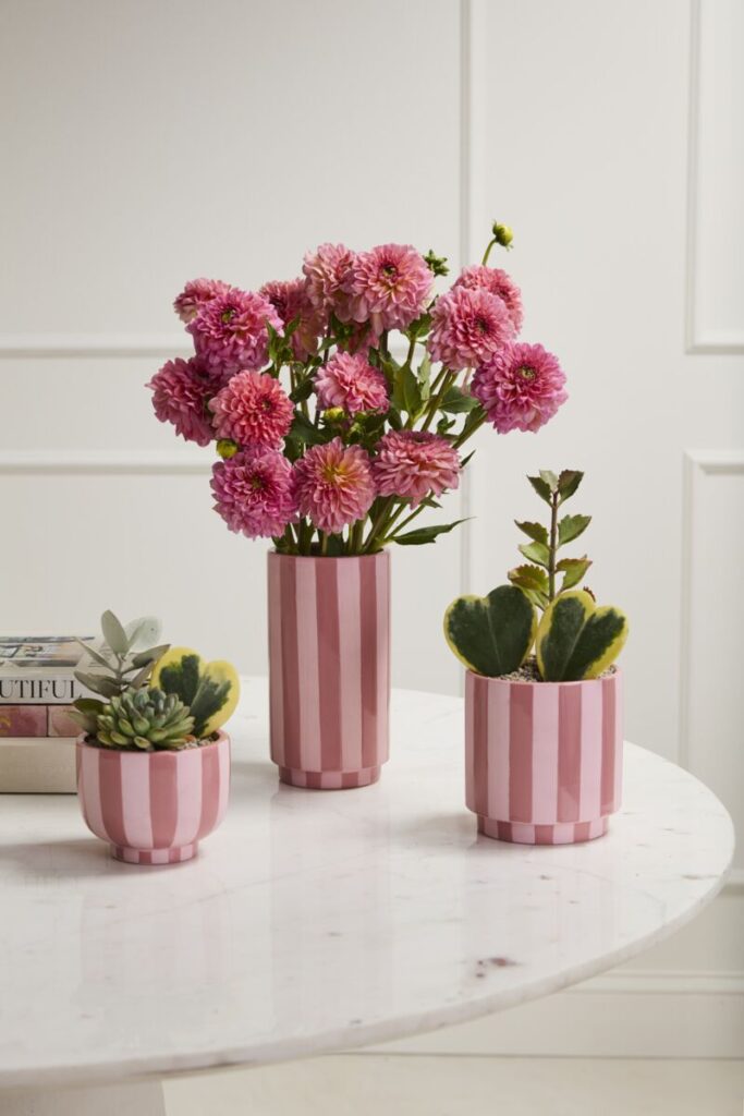 Pink and red striped vases filled with striking florals and small, green plants.