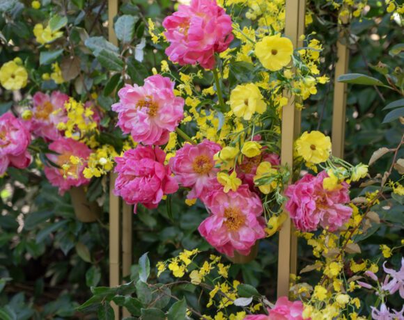 Large arch wedding decor, the Melora Arch, styled with lush flowers in pink, yellow and green.
