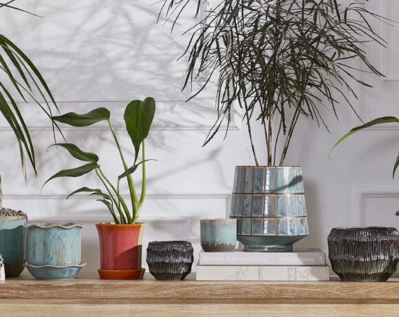 A tabletop featuring an assortment of colorful and glazed pots and planters