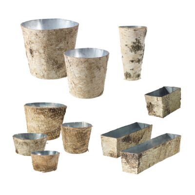 Birch Collection with Zinc