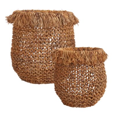 Palm Grove Basket