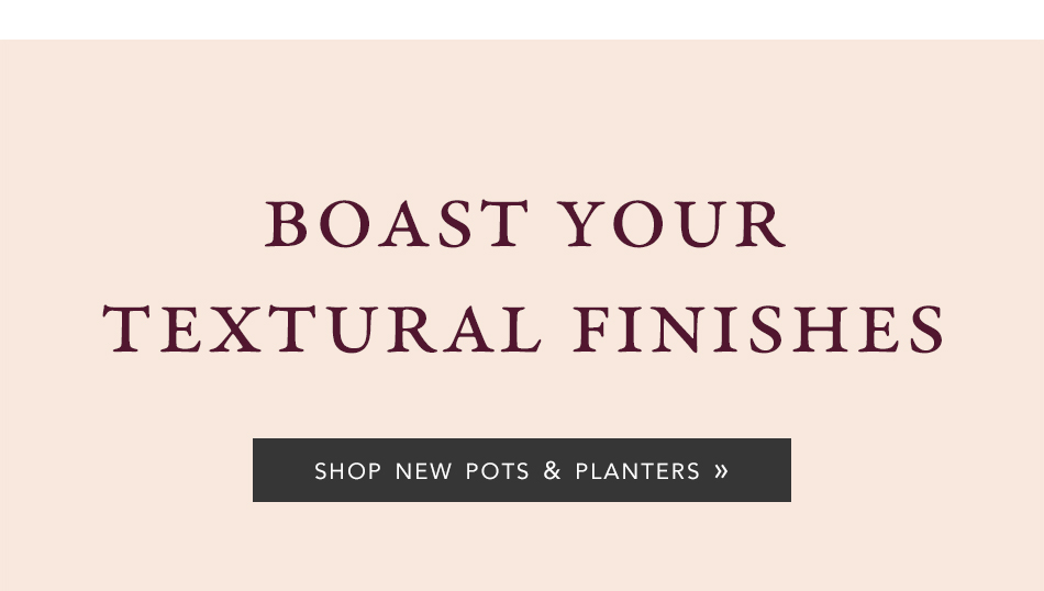 Shop New Pots & Planters