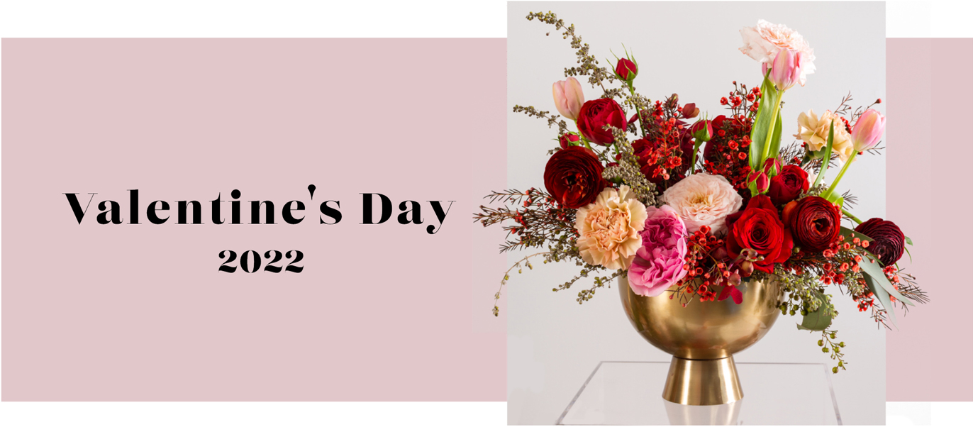 Shop Valentine's Day Collection