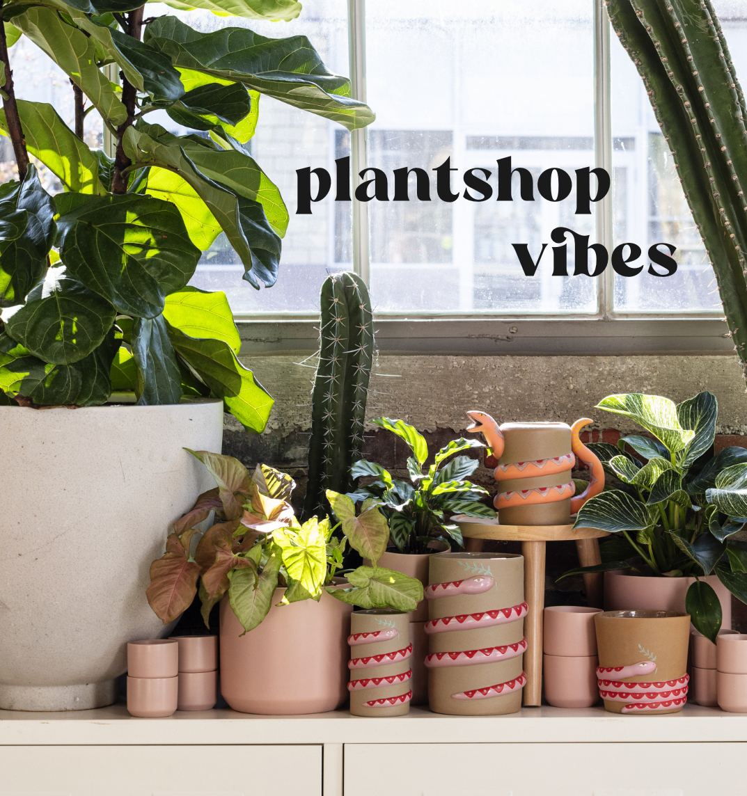 Shop Plant Shop Vibes