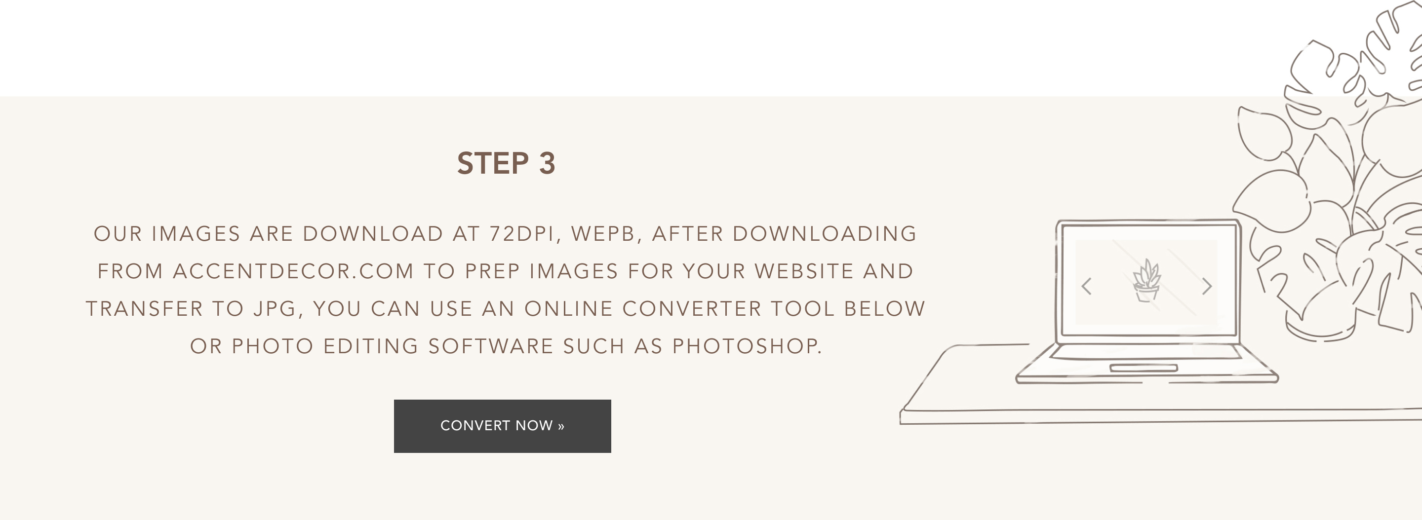 Use An Online Converter Tool to Prep Images for website ready use