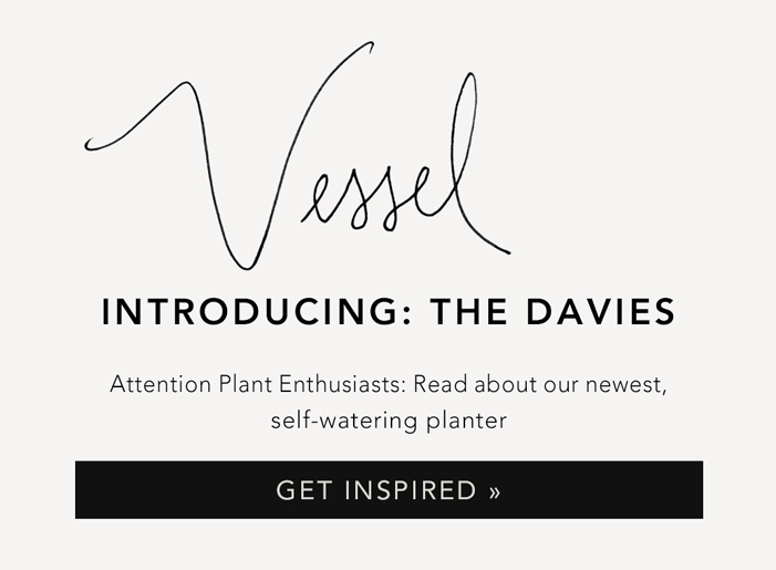 Introducing: the Davies : Learn more about the NEW Self Watering Pot